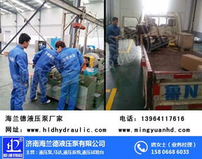 海兰德液压 图 pv90液压油泵厂家 液压油泵厂家